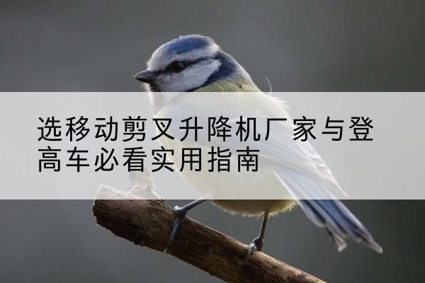 平湖电动升降机厂家-选移动剪叉升降机厂家与登高车必看实用指南
