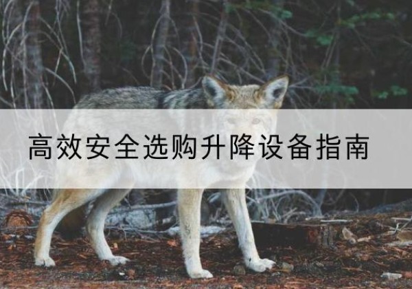 平湖升降货梯厂家推荐-*安全选购升降设备指南