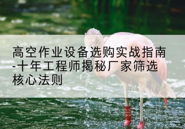 平湖剪叉式升降机厂家-高空作业设备选购实战指南-十年工程师揭秘厂家筛选核心法则